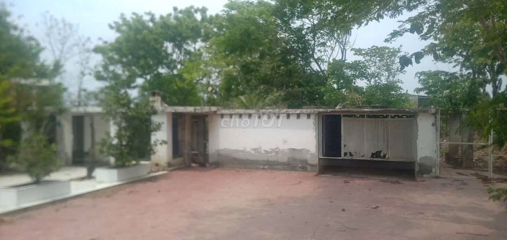 SỞ HỮU LÔ ĐẤT DT 5.145,3M2, THỔ CƯ 100M2, GIÁ *** XÃ CHÂU PHA. Mua bán Đất tại Thị xã Phú Mỹ Bà Rịa - Vũng Tàu được đăng bởi Family hình 5