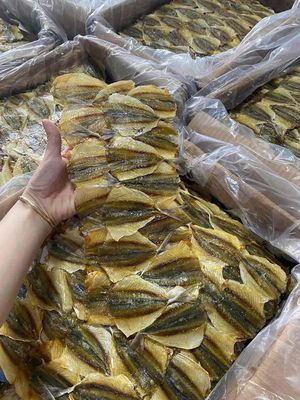 khô cá chỉ vàng. Mua bán Đồ ăn, thực phẩm và các loại khác tại Quận Thanh Xuân Hà Nội được đăng bởi Phương phương