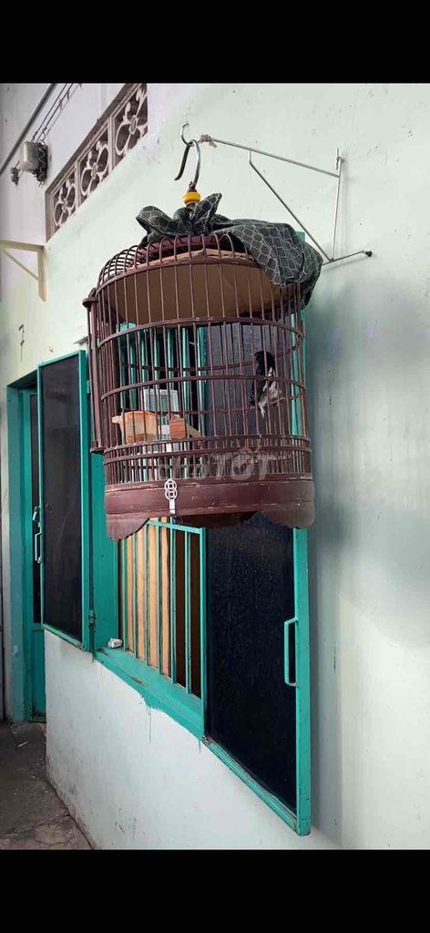 chuyển 1 mùa. Mua bán Chim tại Huyện Củ Chi Tp Hồ Chí Minh được đăng bởi Tên chưa cung cấp hình 1