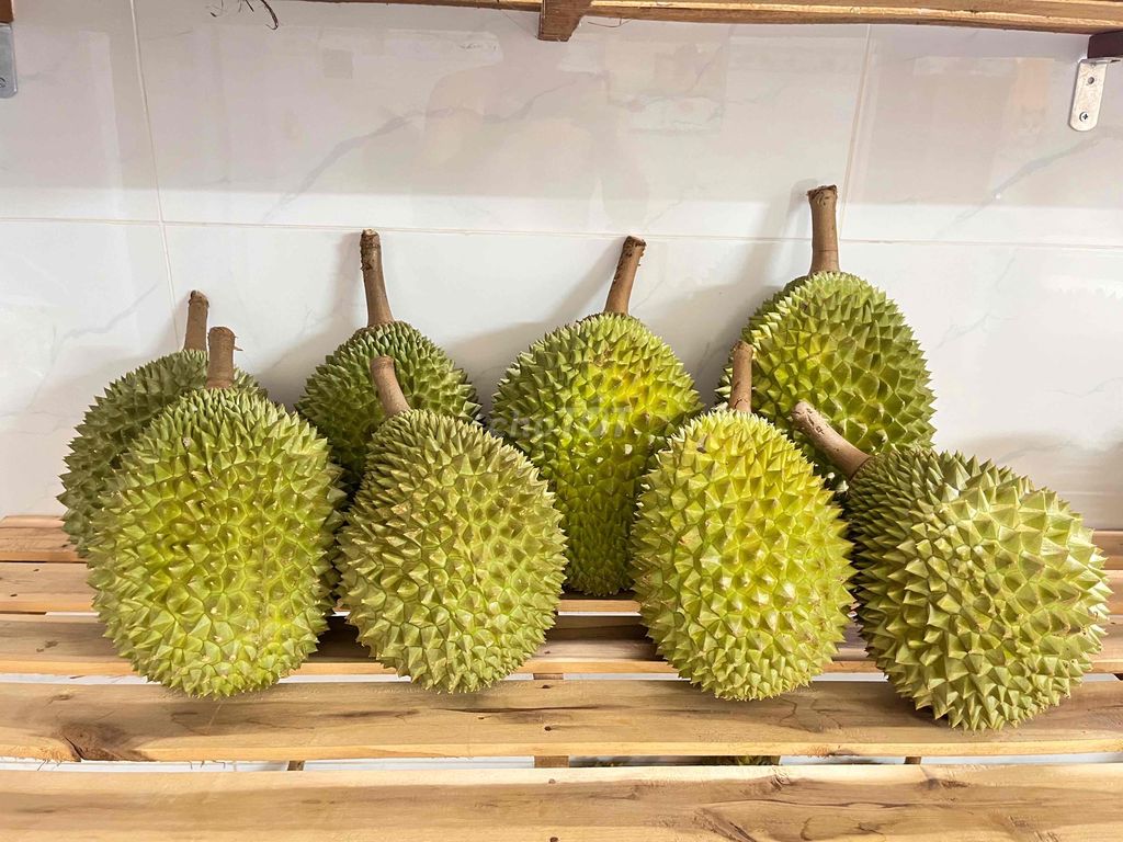 Sầu riêng Ri6 và Musang King free ship SG!. Mua bán Đồ ăn, thực phẩm và các loại khác tại Quận Bình Tân Tp Hồ Chí Minh được đăng bởi Cậu Ba Sầu Riêng hình 4