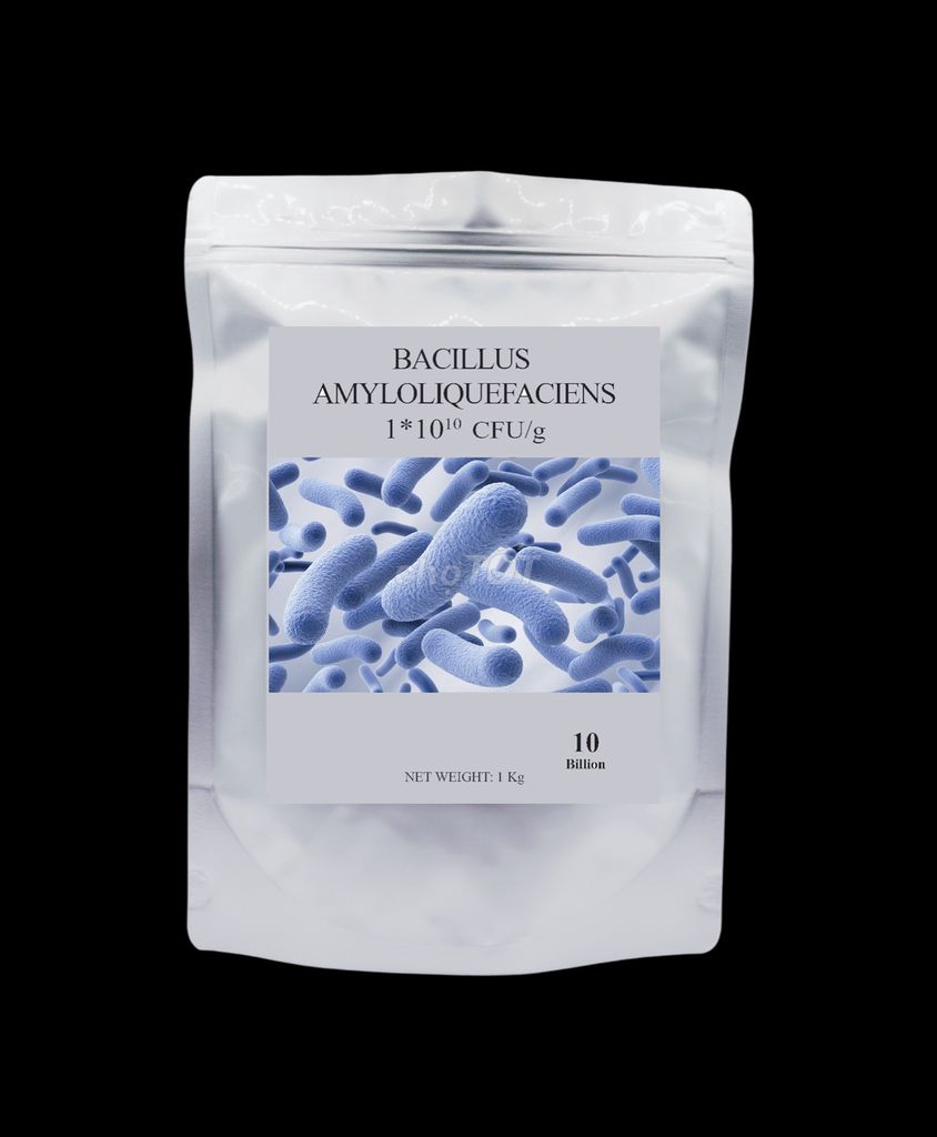 Men vi sinh đơn dòng Bacillus Amyloliquefaciens. Mua bán Phụ kiện, Thức ăn, Dịch vụ tại Huyện Đức Hòa Long An được đăng bởi Ms Hạnh  hình 1