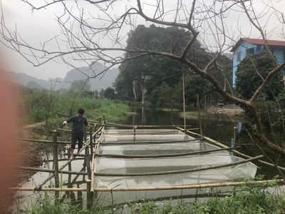 cho thuê 10-15 năm. Cho thuê văn phòng, mặt bằng kinh doanh tại Huyện Hoa Lư Ninh Bình được đăng bởi nguyễn Duy Hùng