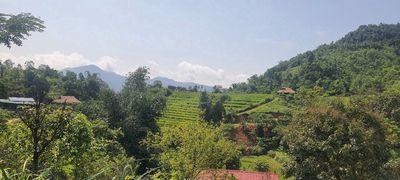 Bán Đất Thổ Cư Tại xã Tân Minh Đà Bắc.. Mua bán đất tại Huyện Đà Bắc Hòa Bình được đăng bởi Đinh Tiến Khanh