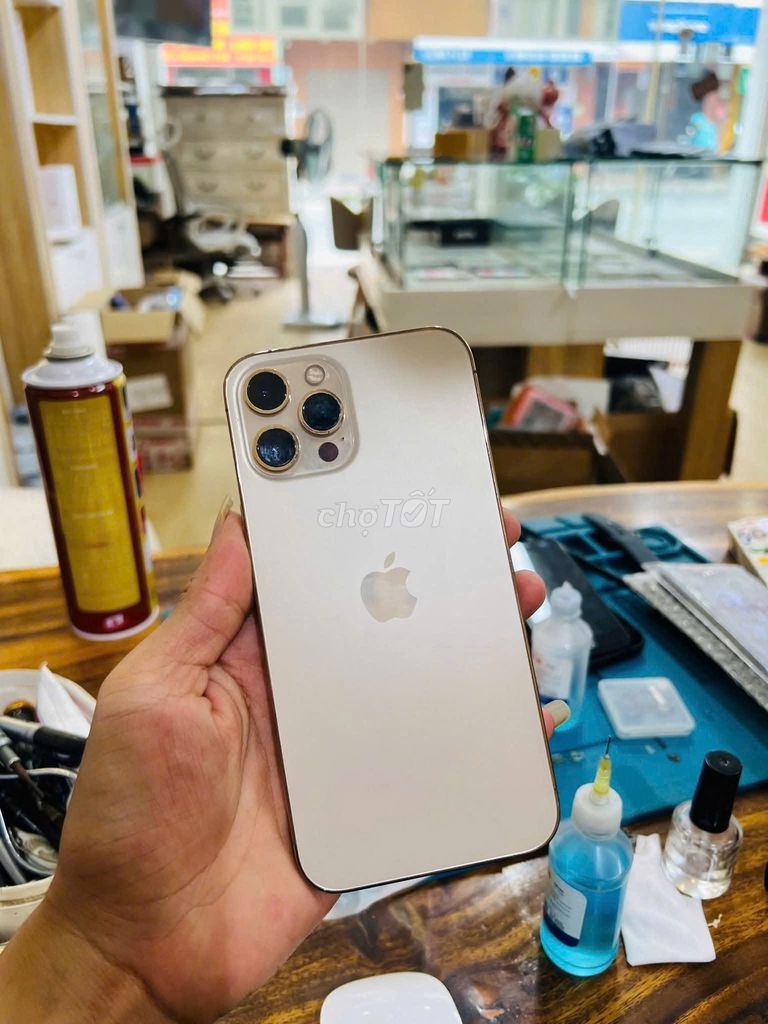 iPhone 12 Pro Max 128GB Vàng. Mua bán Điện thoại tại Huyện Thái Thụy Thái Bình được đăng bởi Thắng Phạm hình 1
