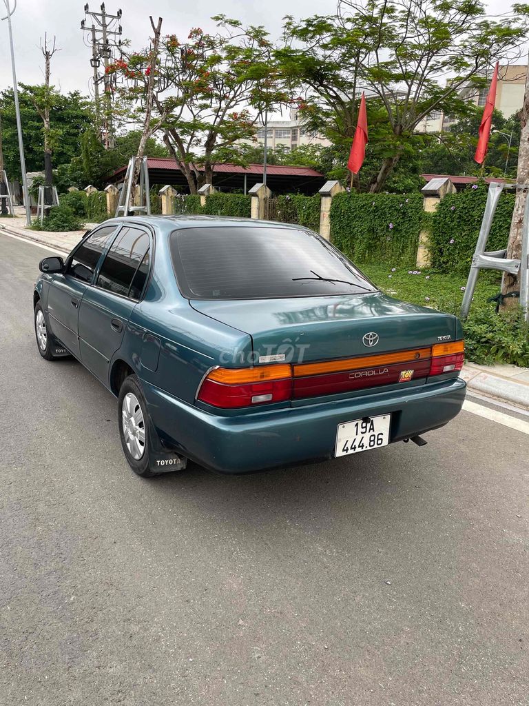 Ảnh số 7