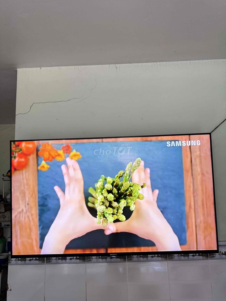 Tivi Sony 55w800c 55 inch. Mua bán Tivi, Âm thanh tại Thành phố Thuận An Bình Dương được đăng bởi nhung hình 1