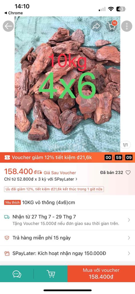 bán rẻ bao Vỏ thông tự nhiên 10kg. Mua bán Cây cảnh, đồ trang trí tại Quận Liên Chiểu Đà Nẵng được đăng bởi Thanh Lý  hình 1