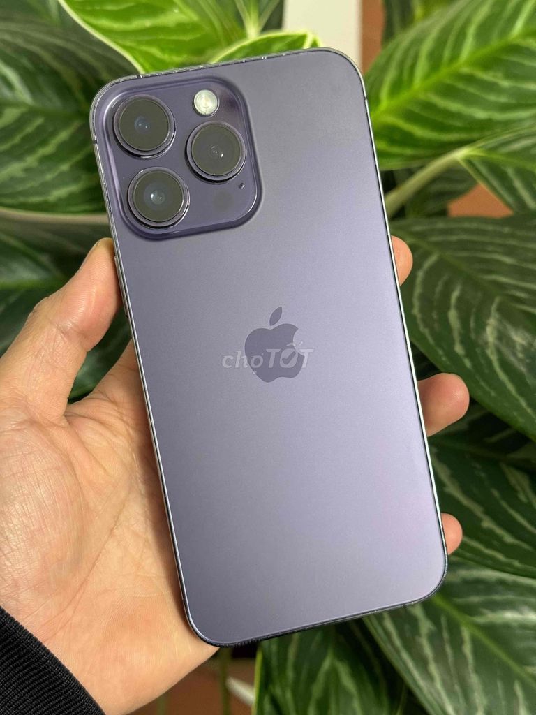 14 Pro Max 128GB Tím Mỹ bán hoặc gl. Mua bán Điện thoại tại Thành phố Đà Lạt Lâm Đồng được đăng bởi nhanh gọn lẹ hình 1