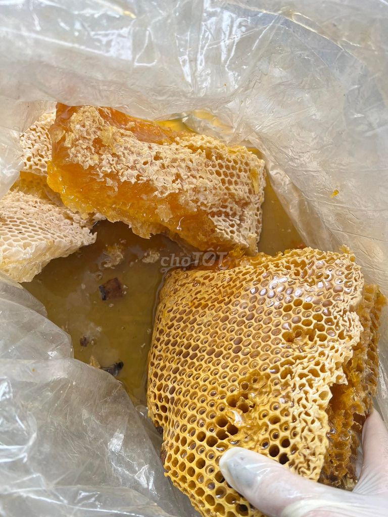Mật ong rừng Gia Lai nguyên chất. Mua bán Đồ ăn, thực phẩm và các loại khác tại Huyện KBang Gia Lai được đăng bởi Phương Nguyễn Hoài hình 1