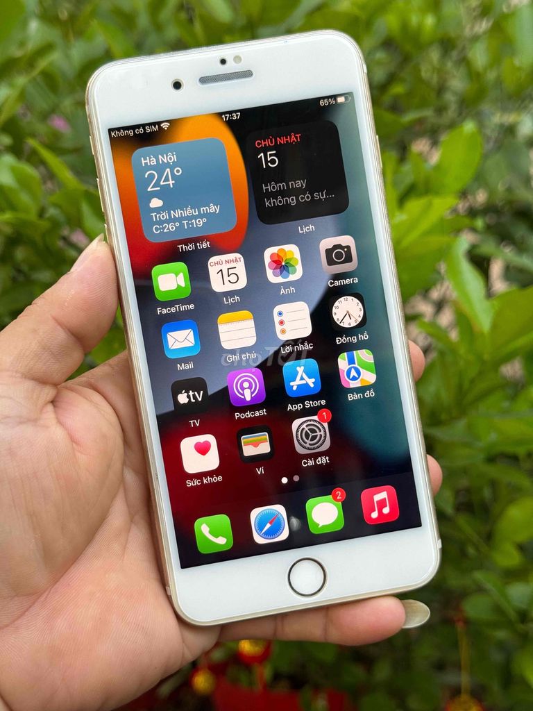 iPhone 7 Plus 32GB - quốc tế.. Mua bán Điện thoại tại Huyện Châu Phú An Giang được đăng bởi Xuân Văn hình 1