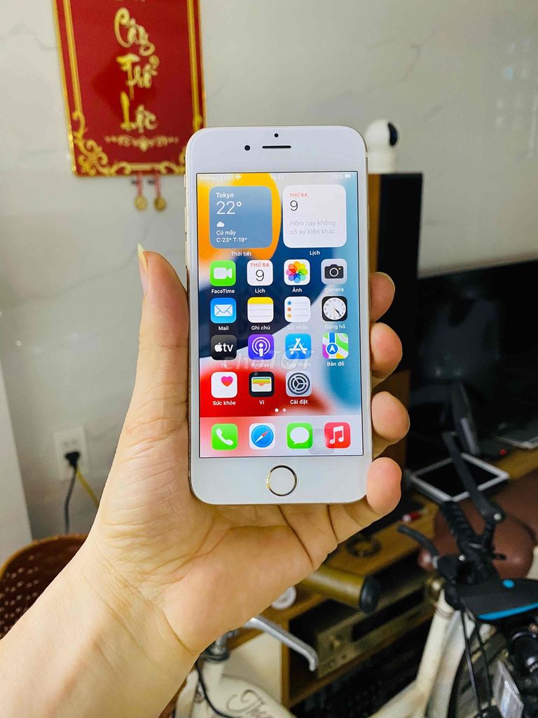 iPhone 6s 16G, qte, full chức năng. Mua bán Điện thoại tại Quận Tân Bình Tp Hồ Chí Minh được đăng bởi ANH ĐỨC Store hình 1