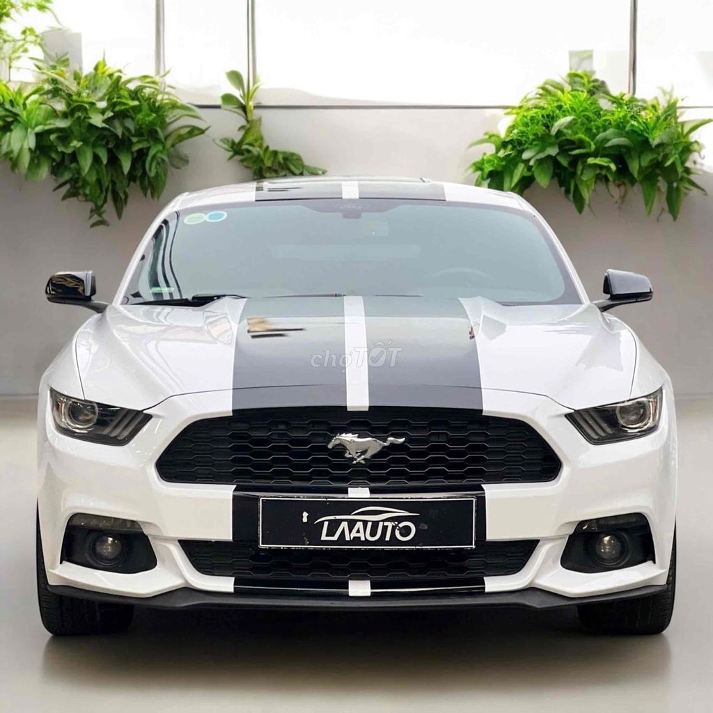 Ford Mustang model 2016 siêu cọp😍