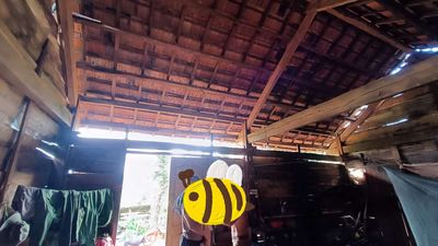 Nhà gỗ 2 gian. Mua bán Nội thất, đồ gia dụng khác tại Huyện Đắk Mil Đắk Nông được đăng bởi Lâm nguyễn