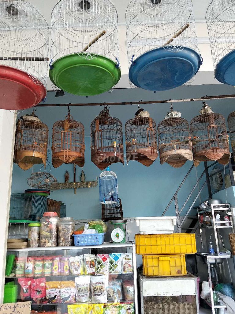 Thức ăn,.lồng, phụ kiện thú cưng các loại. Mua bán Phụ kiện, Thức ăn, Dịch vụ tại Quận 12 Tp Hồ Chí Minh được đăng bởi thanh hình 1