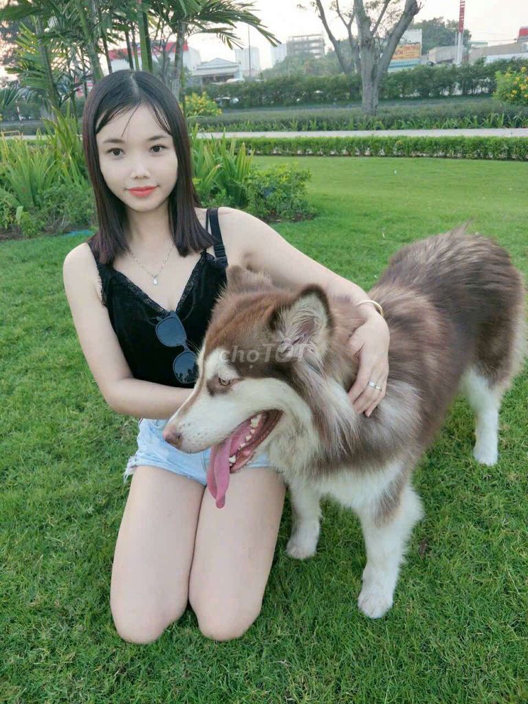 Bàn học sinh đã sử dụng. Mua bán Bàn ghế tại Huyện Nhà Bè Tp Hồ Chí Minh được đăng bởi Thanh nguyên hình 1