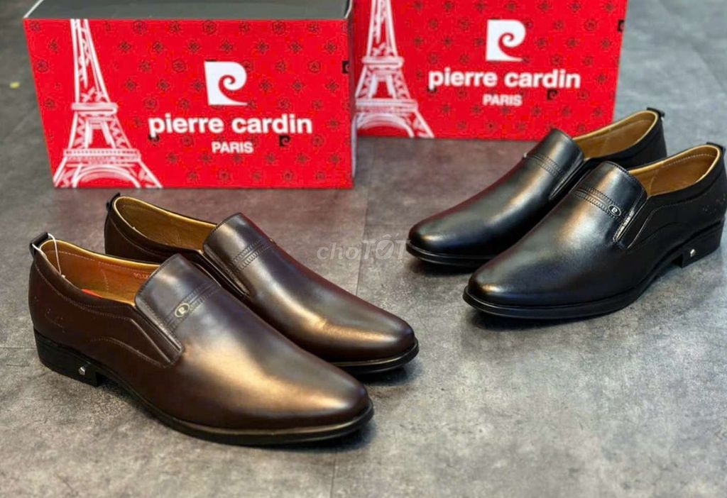 Pierre Cardin - Đen và Nâu