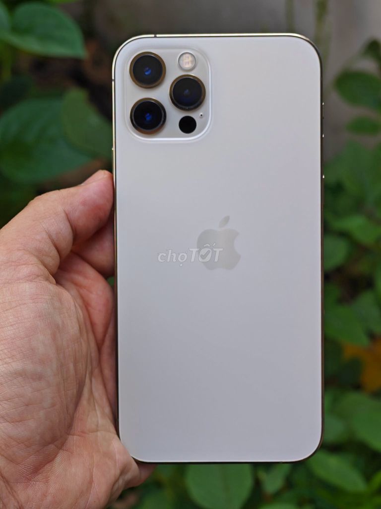 Apple iPhone 12 Pro 128GB Vàng UAE Like New. Mua bán Điện thoại tại Quận Tân Bình Tp Hồ Chí Minh được đăng bởi Hội Đồ Điện Tử hình 1