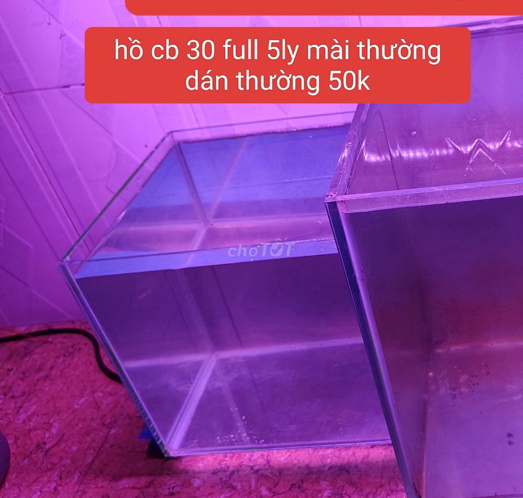 Phụ kiện hồ cá giá rẽ