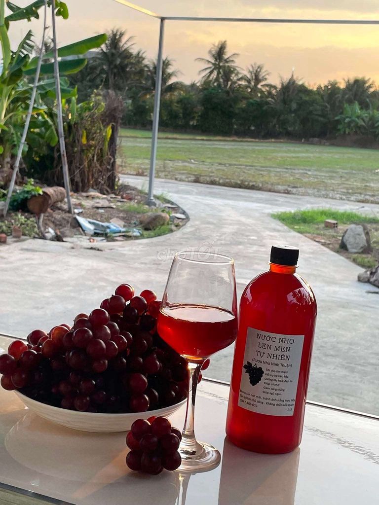 Nước nho lên men Ninh Thuận 1 lít. Mua bán Đồ ăn, thực phẩm và các loại khác tại Thành phố Phan Rang-Tháp Chàm Ninh Thuận được đăng bởi Tịnh Duong hình 1