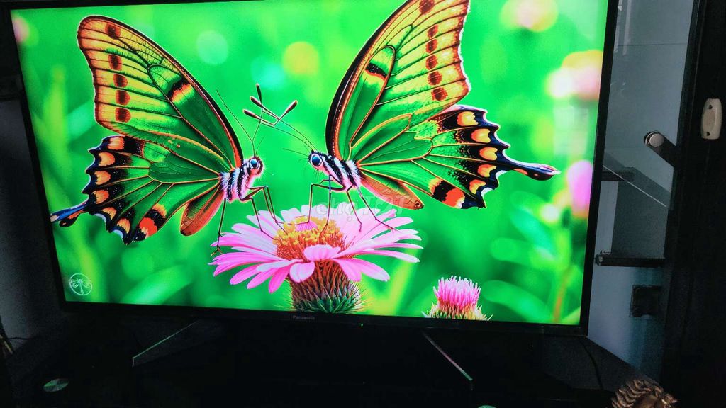 smart TV Panasonic 40in 4K giọng nói YouTube nhanh. Mua bán Tivi, Âm thanh tại Huyện Bình Chánh Tp Hồ Chí Minh được đăng bởi pham quang vinh hình 1
