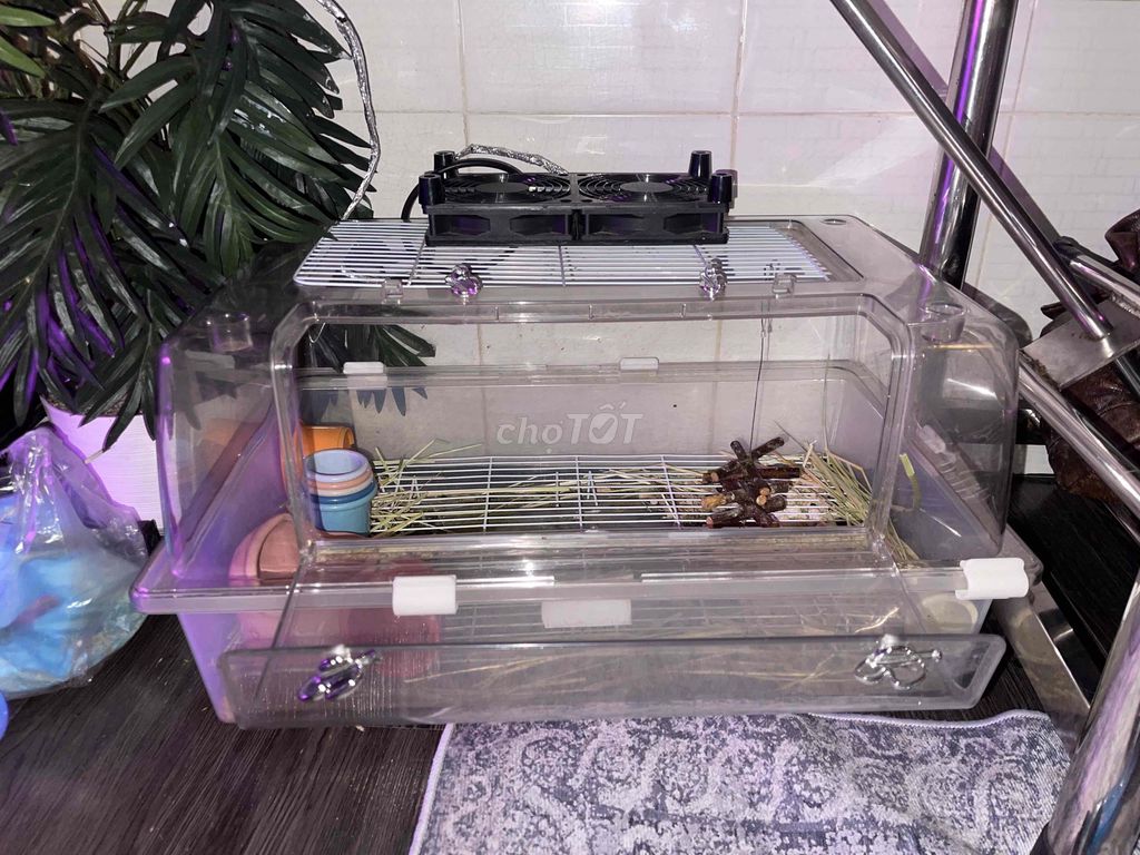 Lồng nuôi thú cưng Nhựa cứng 60x38x30cm. Mua bán Phụ kiện, Thức ăn, Dịch vụ tại Quận Phú Nhuận Tp Hồ Chí Minh được đăng bởi 999problems hình 1