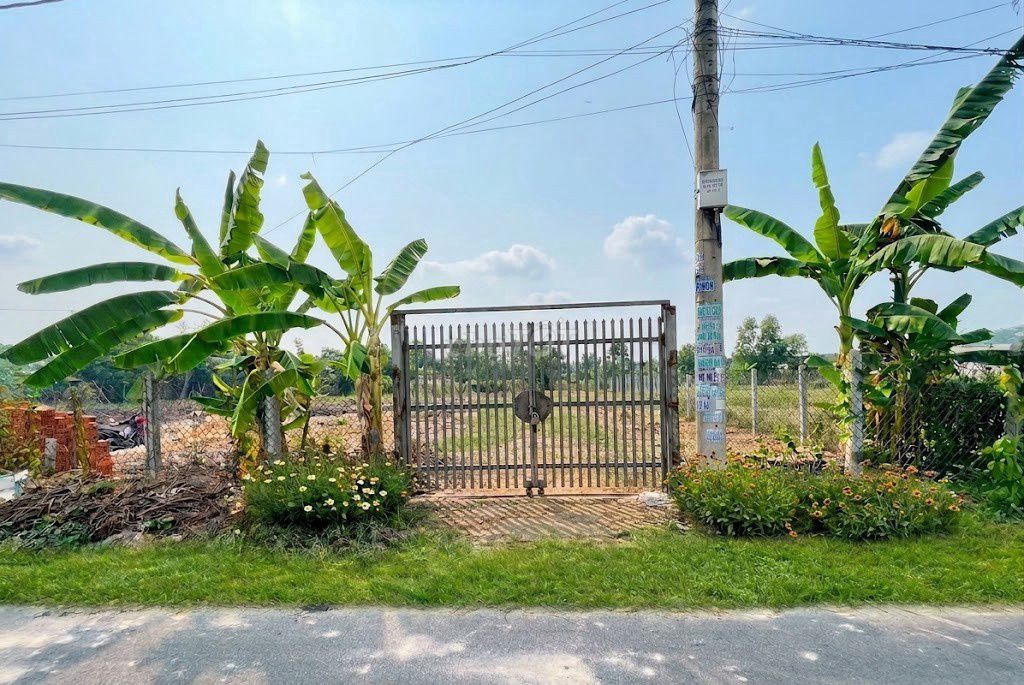 CHỦ NGỘP CẦN RA NHANH LÔ ĐẤT MẶT TIỀN TRẦN QUANG ĐẠO - SỔ HỒNG RIÊNG