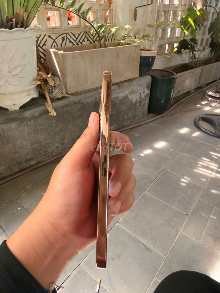 Honor X9D 12GB/256GB Vàng đồng Snapdragon 6 Gen 4. Mua bán Điện thoại tại Quận Ngũ Hành Sơn Đà Nẵng được đăng bởi Trường Nguyễn hình 1