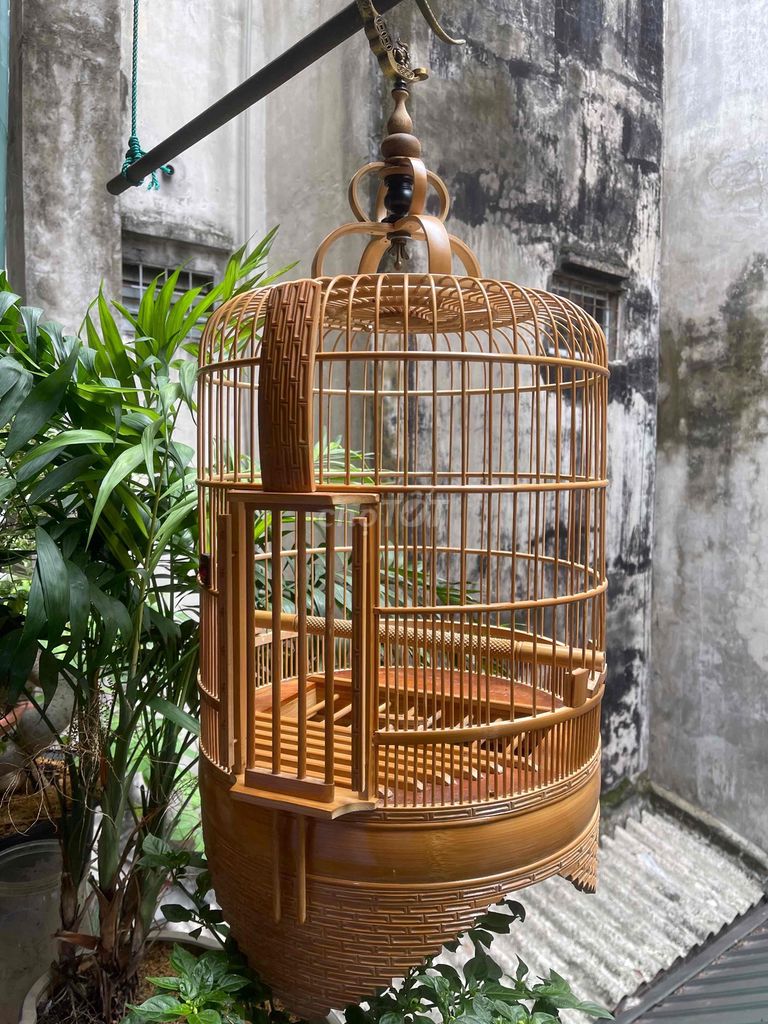 Lồng chim Họa mi Triện. Mua bán Chim tại Quận Thanh Xuân Hà Nội được đăng bởi A.Hải  hình 1