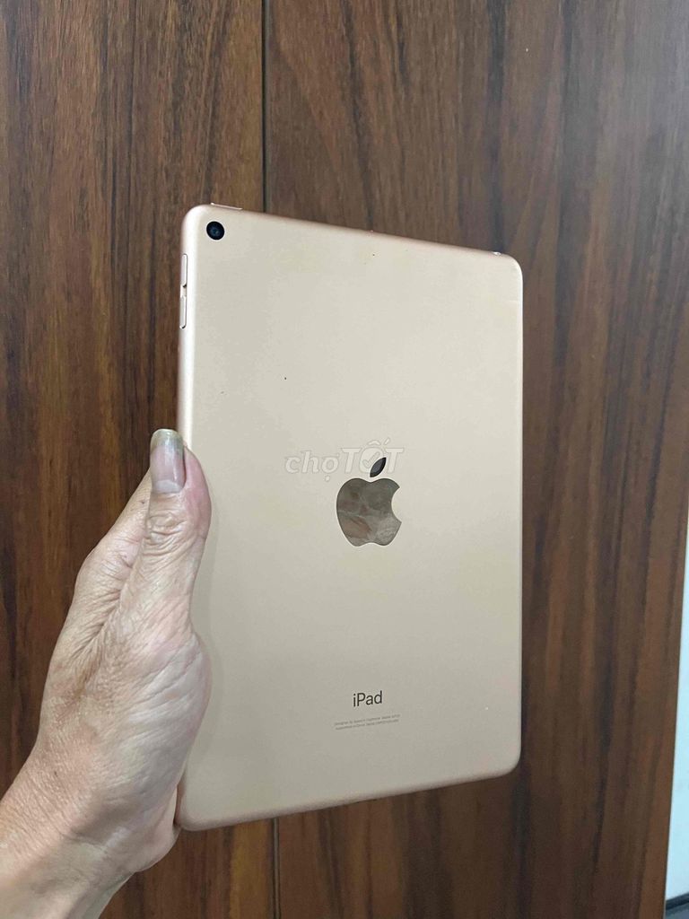 Apple iPad mini 5th 64GB Vàng Đã sử dụng. Mua bán Máy tính bảng tại Quận Bình Tân Tp Hồ Chí Minh được đăng bởi nguyen van vu hình 1