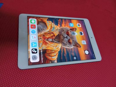 Apple iPad Mini 2 Wifi Bạc Chưa sửa chữa