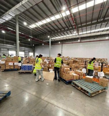 PHÂN LOẠI RAU CỦ HÀNG KHÔ - LƯƠNG TUẦN - CÓ XE ĐÓN