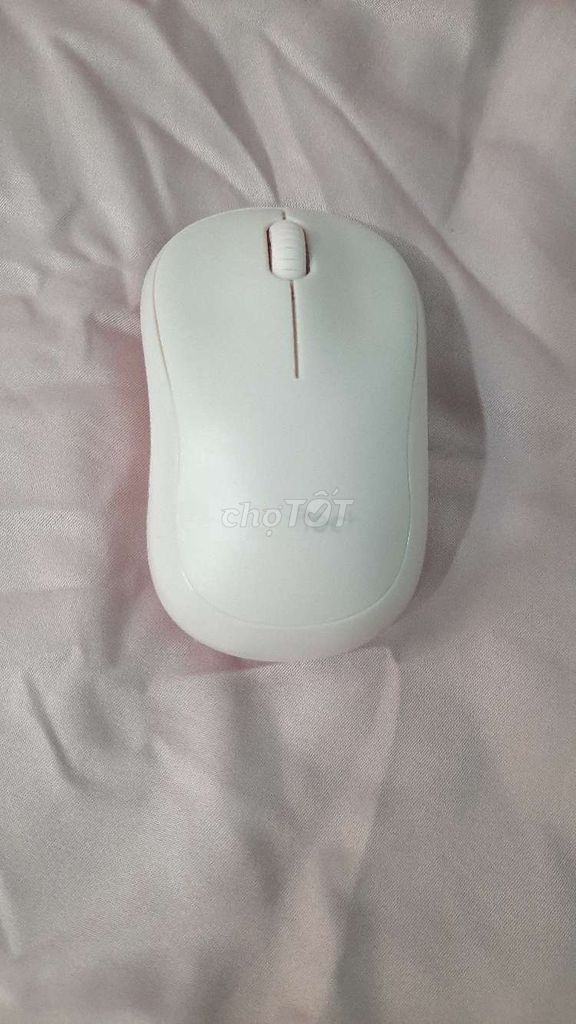 Chuột Logitech không dây Hồng. Mua bán Phụ kiện (Màn hình, Chuột...) tại Huyện Châu Thành Trà Vinh được đăng bởi Thanh Lý Tất hình 1