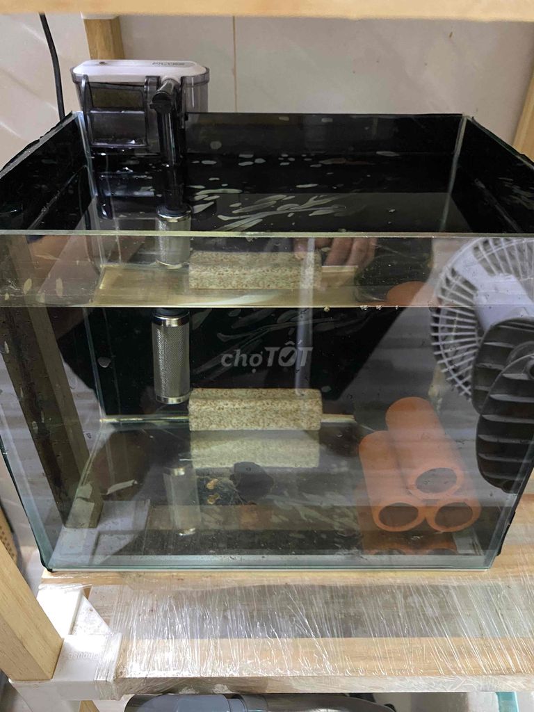 Hồ cá kính 25x20x20 cm nuôi tép màu. Mua bán Thú cưng khác tại Quận Bình Thuỷ Cần Thơ được đăng bởi Nguyễn Thanh Cường hình 1