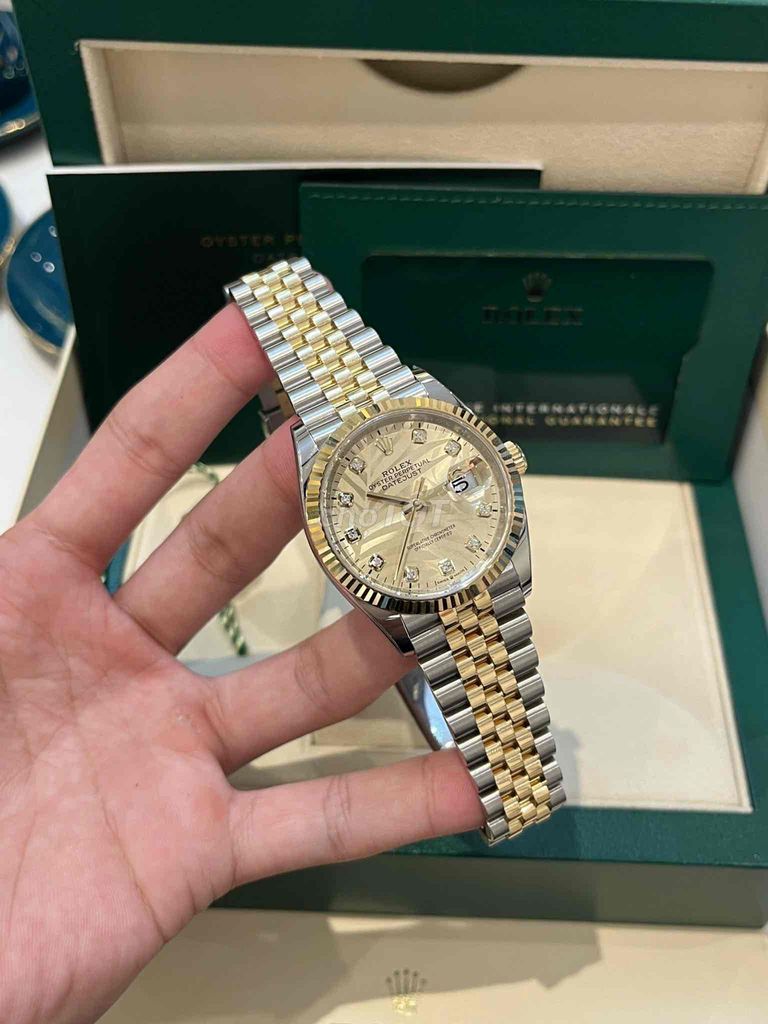 Rolex 126233 Lá Cọ Vàng 36mm