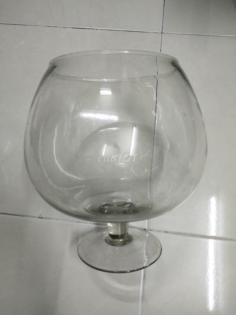 Chậu cá hình ly lớn 30cm Mới. Mua bán Phụ kiện, Thức ăn, Dịch vụ tại Quận 7 Tp Hồ Chí Minh được đăng bởi Tuấn  hình 1