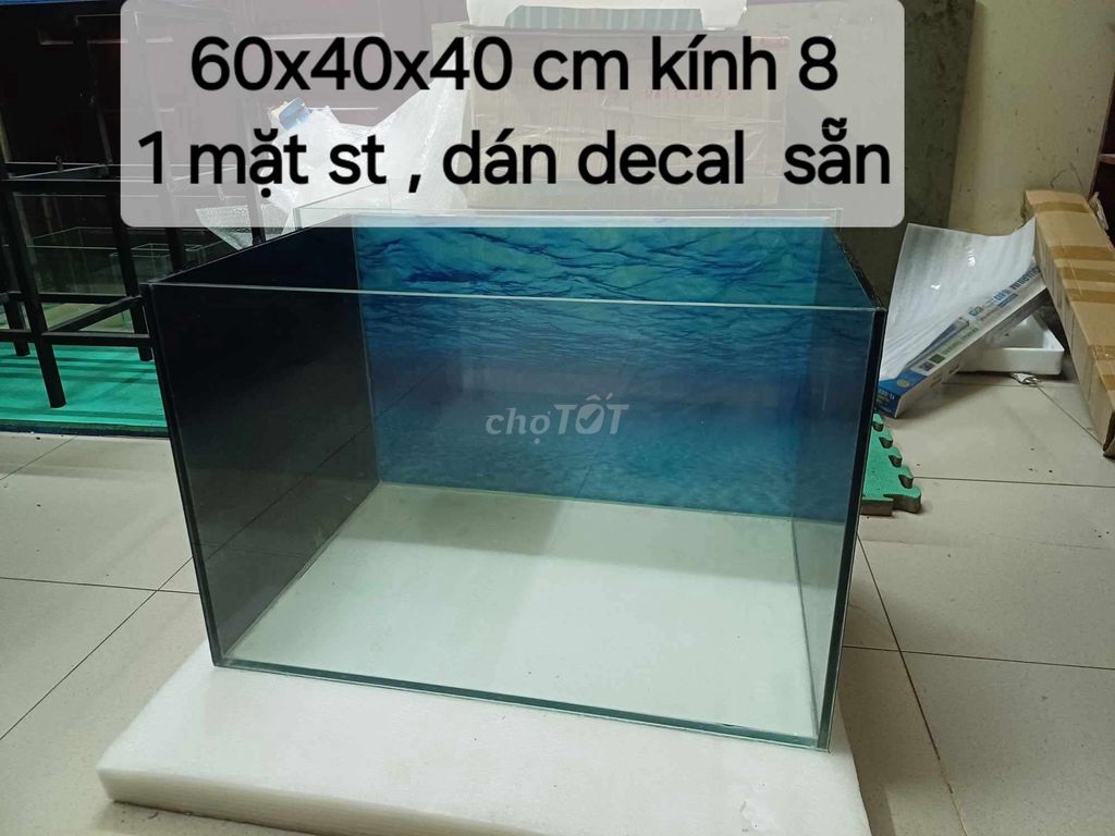 Bể kính 60*40*40