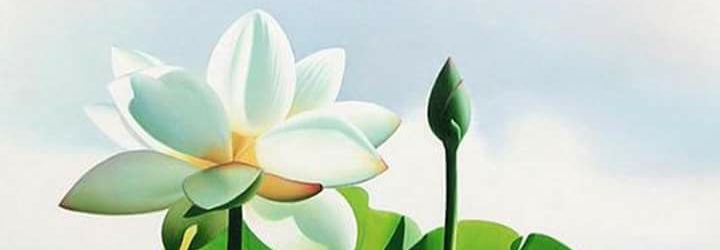Cửa hàng Thanh phúc Cửa hàng Thanh phúc
