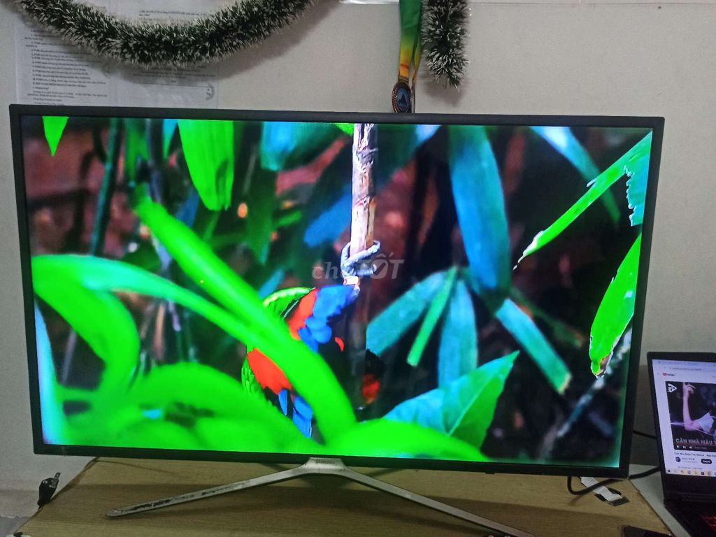 Màn hình TV Samsung Smart 43inch