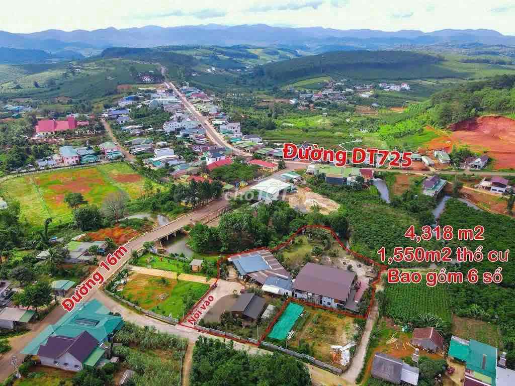 Chủ ngộp Bank cần bán gấp Khu nhà Hàng Homestay Phường Blao ,Bảo Lộc