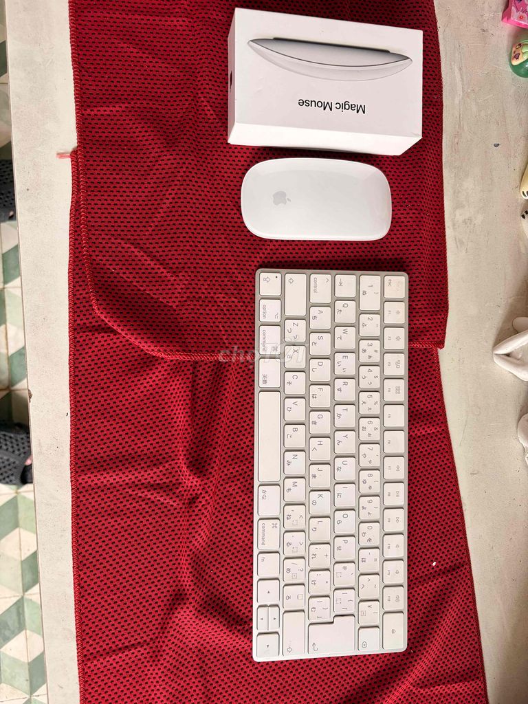 Chuột Apple Magic Mouse 2 Trắng Tiếng Nhật Ít trầy. Mua bán Phụ kiện (Màn hình, Chuột...) tại Quận 3 Tp Hồ Chí Minh được đăng bởi hai tran hình 1
