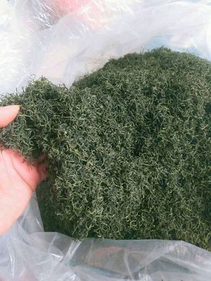 TRÀ THÁI NGUYÊN LOẠI NÕN NGON. Mua bán Đồ ăn, thực phẩm và các loại khác tại Quận 1 Tp Hồ Chí Minh được đăng bởi Mĩ Thuận