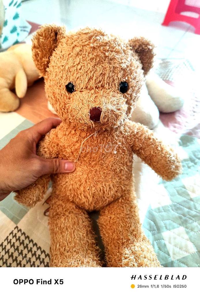 Thanh lý baby three và gấu bông toàn bộ giá tốt 👌