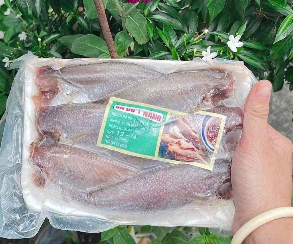 Cá lù đù 1 nắng 500gr. Mua bán Đồ ăn, thực phẩm và các loại khác tại Quận Cái Răng Cần Thơ được đăng bởi Võ Khắc Duy  hình 1
