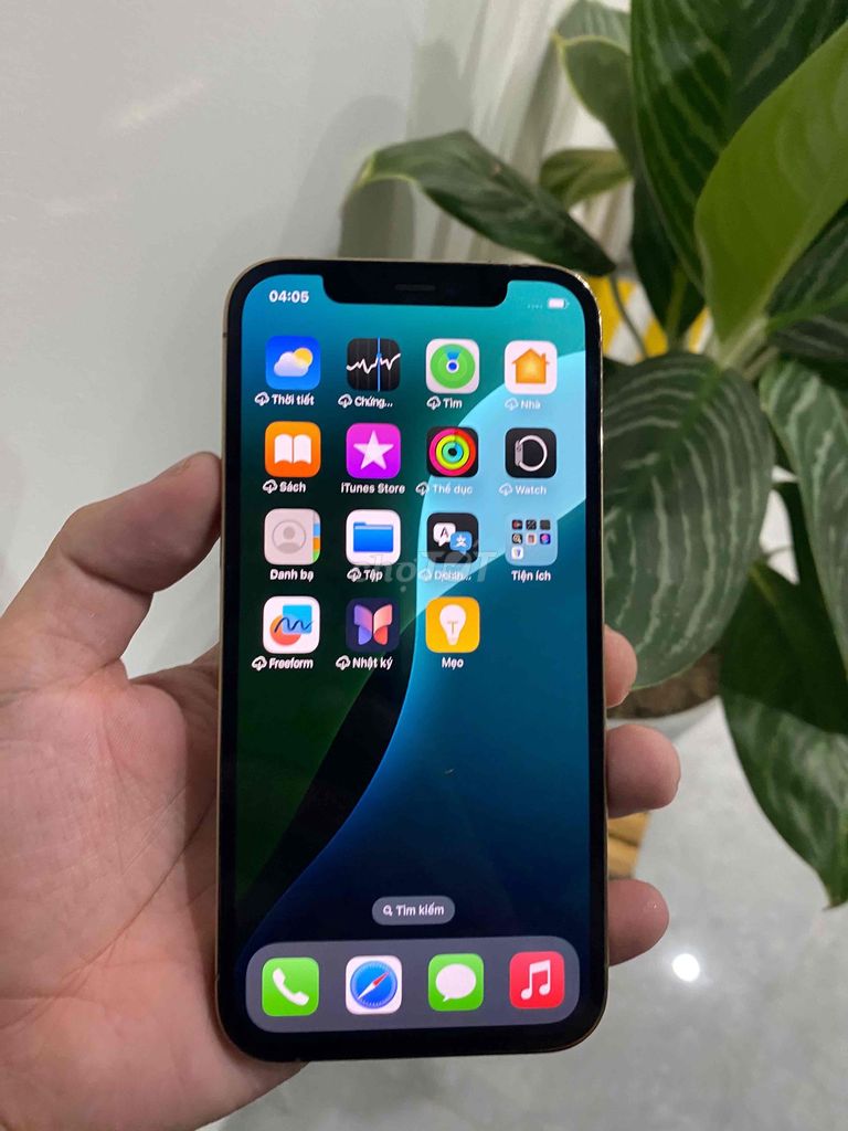 Apple iPhone 12 Pro Vàng Zin all. Mua bán Điện thoại tại Quận Ngũ Hành Sơn Đà Nẵng được đăng bởi Nguyễn Thanh hình 1