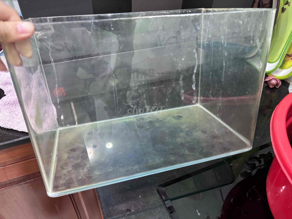 Thanh lý bể cá nhỏ. Mua bán Phụ kiện, Thức ăn, Dịch vụ tại Quận Bình Thạnh Tp Hồ Chí Minh được đăng bởi Ms Ánh hình 1