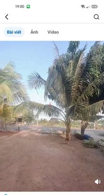 Nhà .mat tiền đường nhựa xe tải lớn. Có đèn đường.. Mua bán nhà ở tại Huyện Tân Châu Tây Ninh được đăng bởi Hang Thu