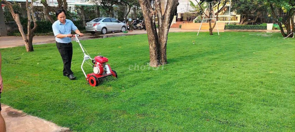 Máy cắt cỏ Nhung Nhật. Mua bán Đồ chuyên dụng, Giống nuôi trồng tại Huyện Bình Chánh Tp Hồ Chí Minh được đăng bởi Máy Cắt Cỏ Sân Golf hình 1