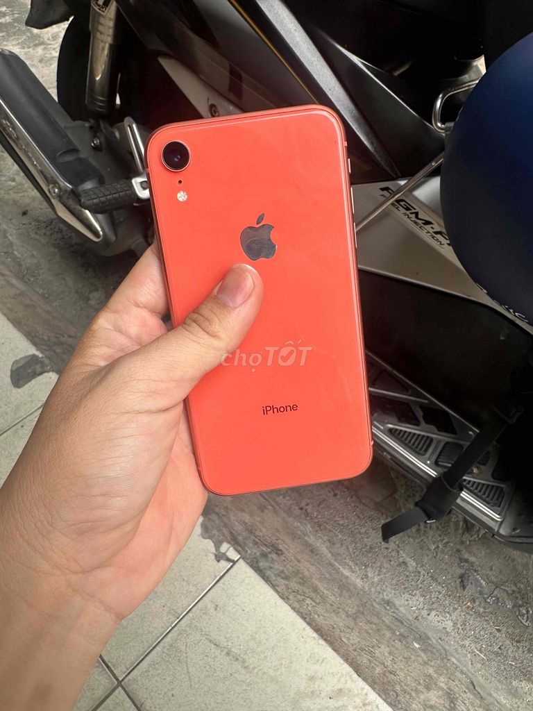 Apple iPhone XR 64GB Cam Không Face ID. Mua bán Điện thoại tại Quận Tân Bình Tp Hồ Chí Minh được đăng bởi phát hình 1