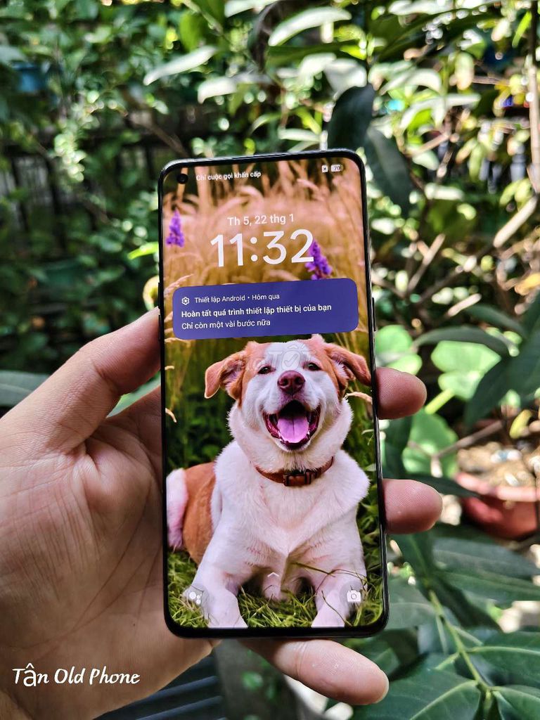 Oppo Find X5 Pro QT 12/256gb đẹp Bán GL. Mua bán Điện thoại tại Quận Bình Tân Tp Hồ Chí Minh được đăng bởi Tân Phạm hình 1