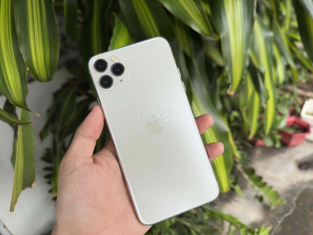 Apple iPhone 11 Pro Max 256GB Quốc tế. Mua bán Điện thoại tại Quận Ninh Kiều Cần Thơ được đăng bởi ĐIỆN THOẠI GIÁ TỐT UY TÍN  hình 1